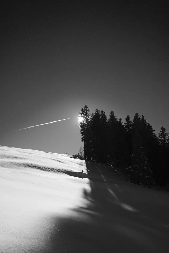 Monochrome Kodak