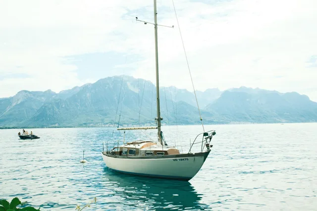 Soft Vintage Color