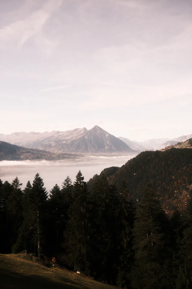 Misty Film