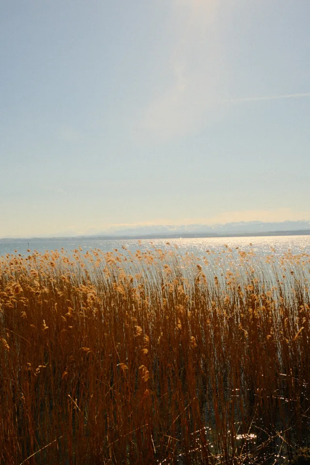 Soft Summer Fujifilm recipe thumbnail 3