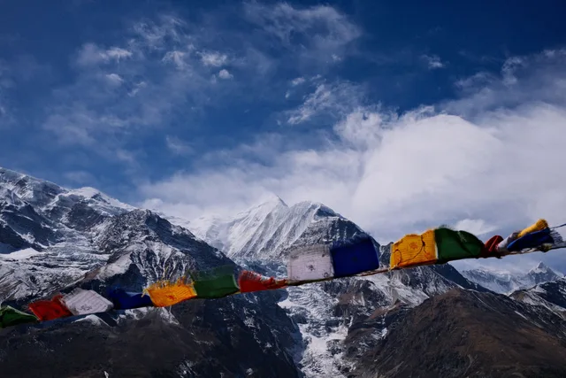 Himalayan Ace