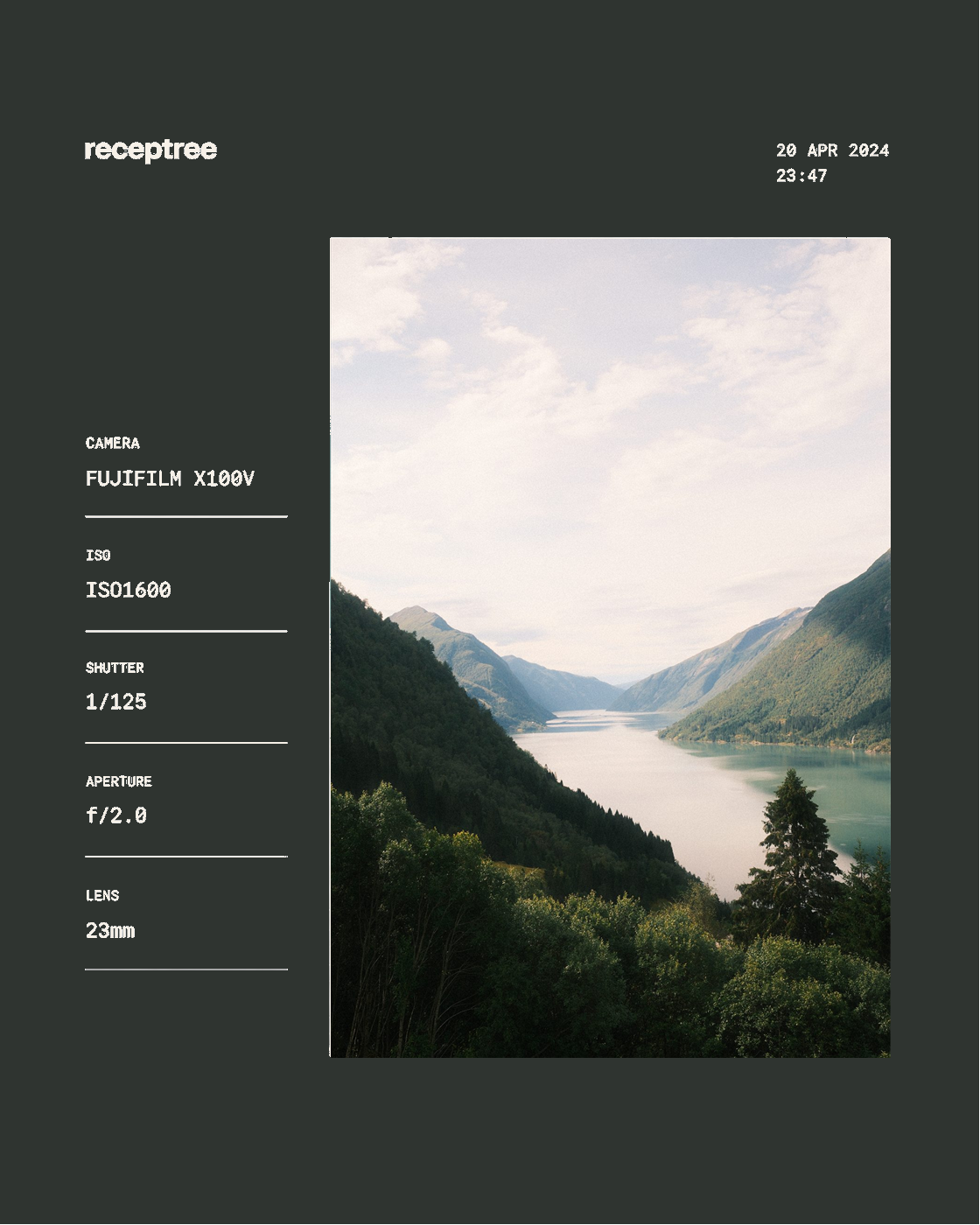 Charcoal EXIF metaframe template preview