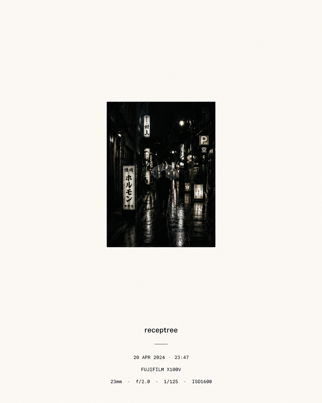 Museum style EXIF metaframe template preview