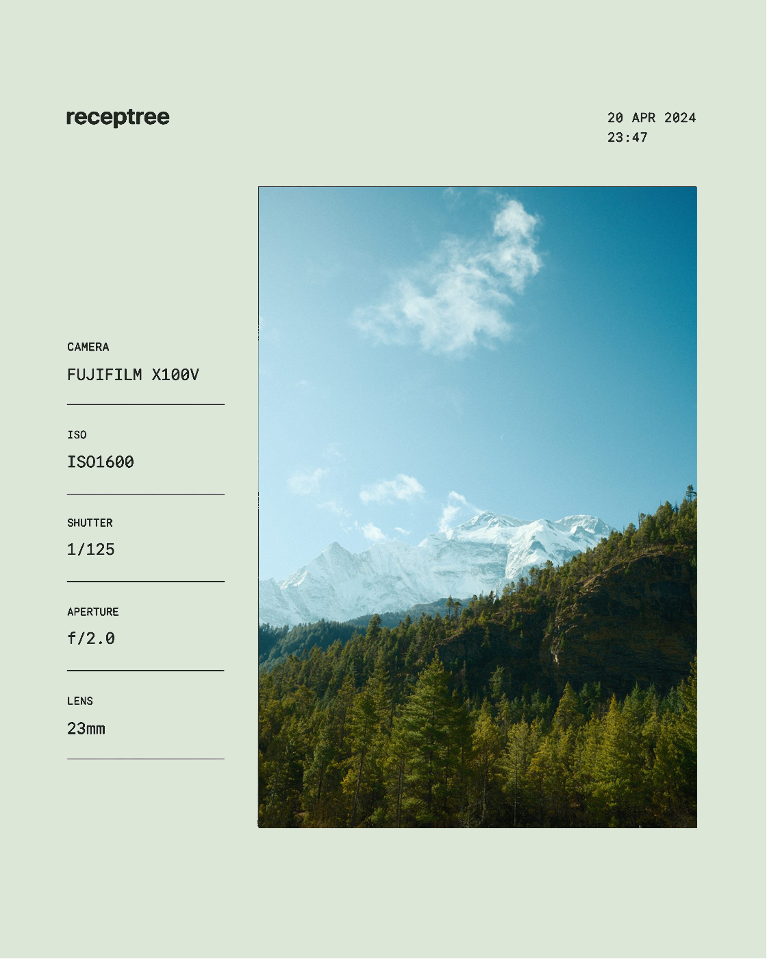Sage EXIF metaframe template preview