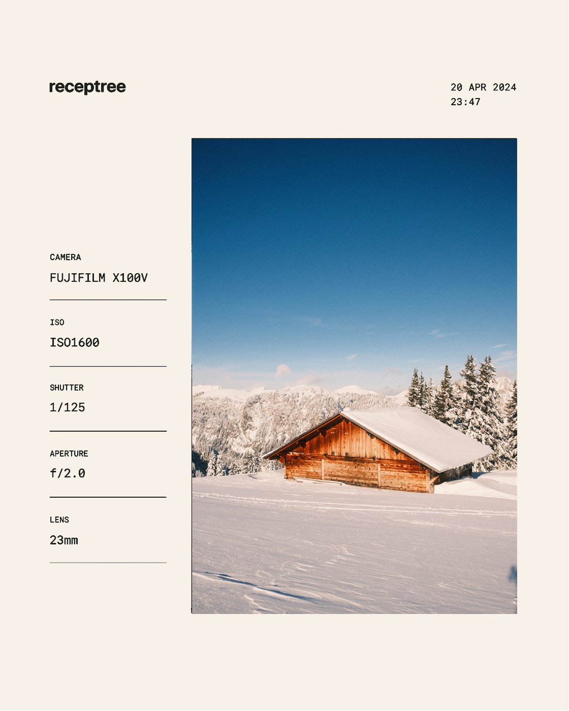 Warm ivory EXIF metaframe template preview